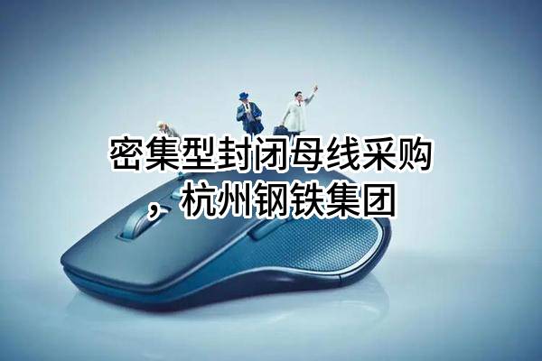 密集型封闭母线采购，杭州钢铁集团有限公司