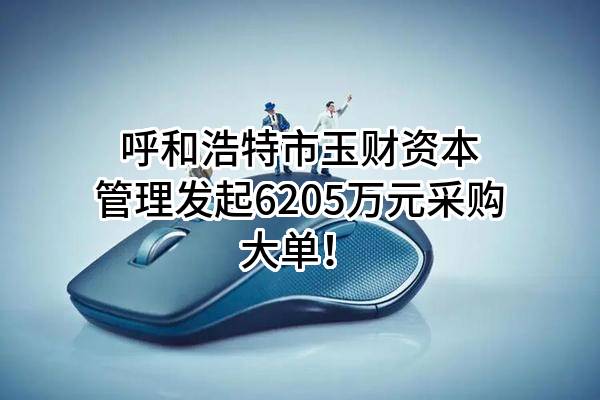 呼和浩特市玉财资本管理有限公司最新发起6205万元采购大单！