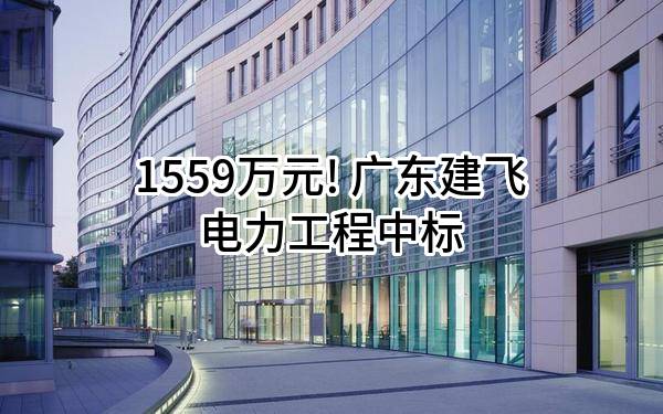 1559万元! 广东建飞电力工程有限公司中标