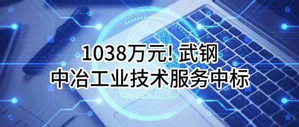 1038万元! 武钢中冶工业技术服务有限公司中标