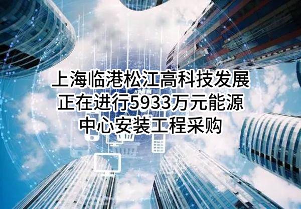 上海临港松江高科技发展有限公司正在进行5933万元能源中心安装工程采购