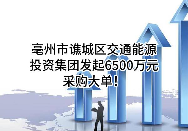 亳州市谯城区交通能源投资集团有限公司最新发起6500万元采购大单！