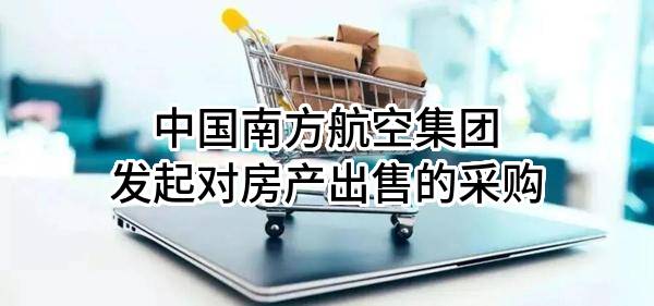 中国南方航空集团有限公司发起对房产出售的采购