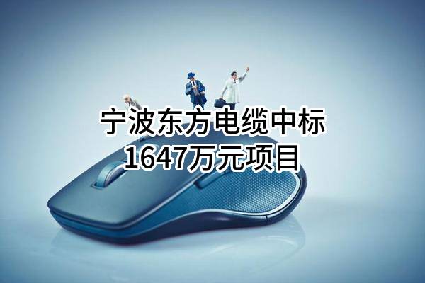 宁波东方电缆股份有限公司中标1647万元项目