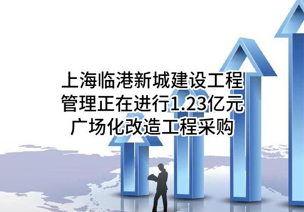 上海临港新城建设工程管理有限公司正在进行1.23亿元广场化改造工程采购