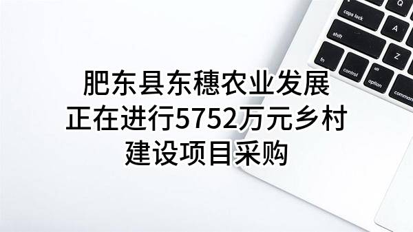 肥东县东穗农业发展有限公司正在进行5752万元乡村建设项目采购