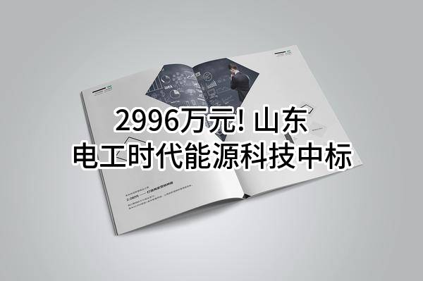2996万元! 山东电工时代能源科技有限公司中标