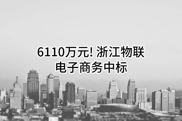 6110万元! 浙江物联电子商务有限公司中标