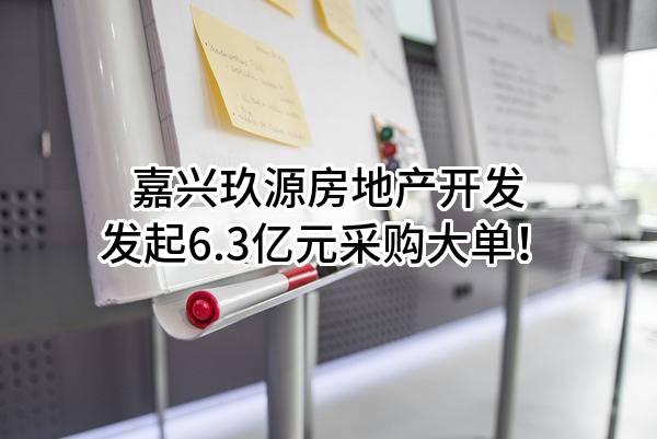 嘉兴玖源房地产开发有限公司最新发起6.3亿元采购大单！