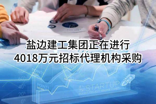 盐边建工集团有限公司正在进行4018万元招标代理机构采购