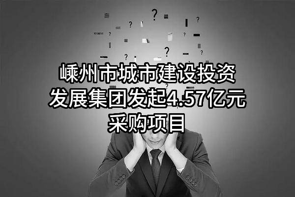 嵊州市城市建设投资发展集团有限公司最新发起4.57亿元采购项目
