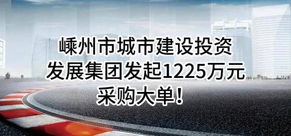 嵊州市城市建设投资发展集团有限公司最新发起1225万元采购大单！