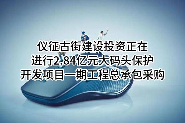 仪征古街建设投资有限公司正在进行2.84亿元大码头保护开发项目一期工程总承包采购