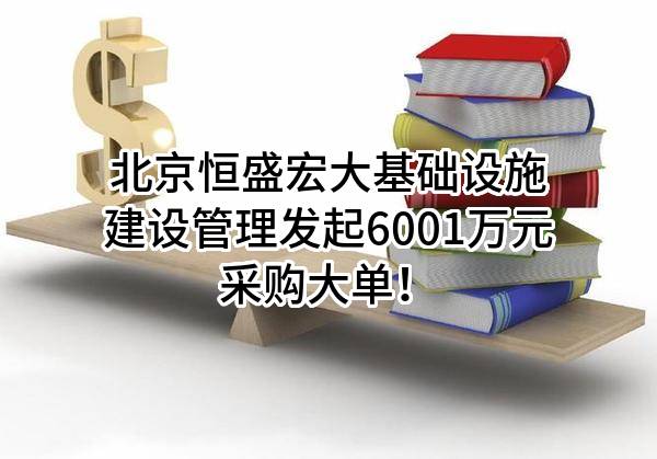 北京恒盛宏大基础设施建设管理有限公司最新发起6001万元采购大单！