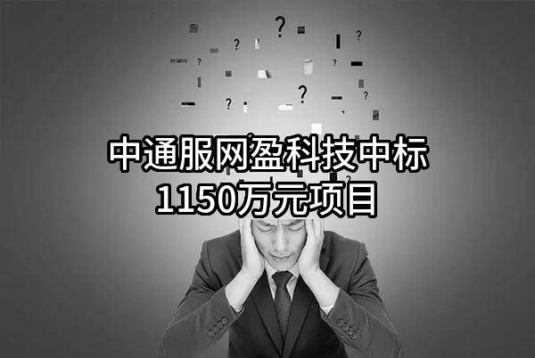 中通服网盈科技有限公司中标1150万元项目