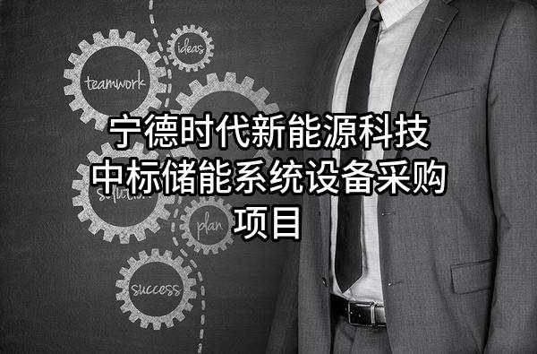 宁德时代新能源科技股份有限公司中标储能系统设备采购项目