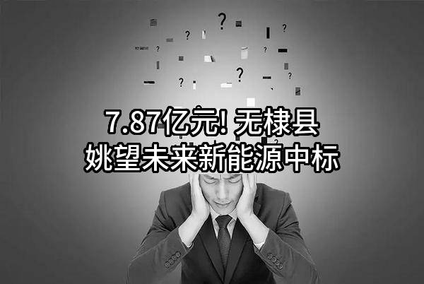 7.87亿元! 无棣县姚望未来新能源有限公司中标