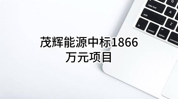 茂辉能源有限公司中标1866万元项目