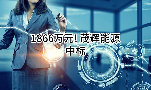 1866万元! 茂辉能源有限公司中标