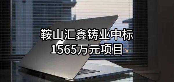 鞍山汇鑫铸业有限公司中标1565万元项目
