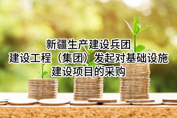 新疆生产建设兵团建设工程（集团）有限责任公司发起对基础设施建设项目的采购