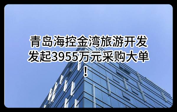 青岛海控金湾旅游开发有限公司最新发起3955万元采购大单！