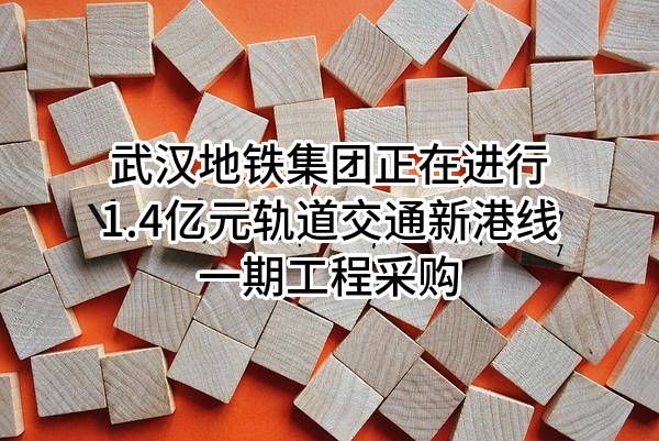 武汉地铁集团有限公司正在进行1.4亿元轨道交通新港线一期工程采购