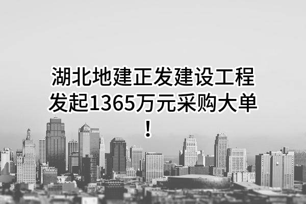 湖北地建正发建设工程有限公司最新发起1365万元采购大单！
