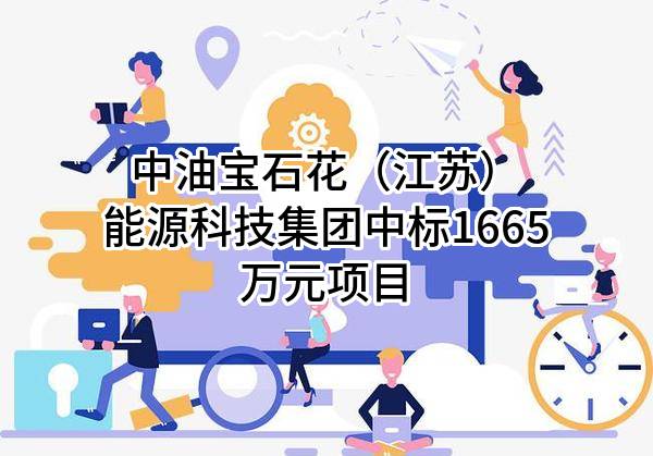 中油宝石花（江苏）能源科技集团有限公司中标1665万元项目