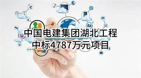 中国电建集团湖北工程有限公司中标4787万元项目