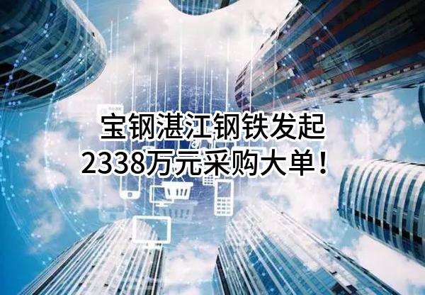 宝钢湛江钢铁有限公司最新发起2338万元采购大单！