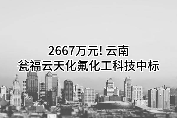 2667万元! 云南瓮福云天化氟化工科技有限公司中标