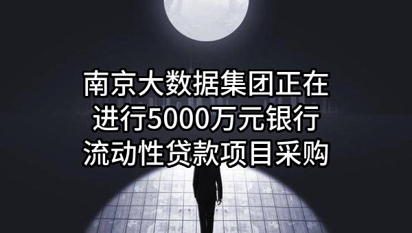 南京大数据集团有限公司正在进行5000万元银行流动性贷款项目采购