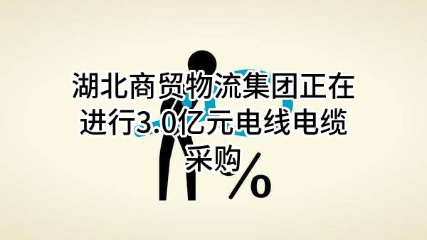 湖北商贸物流集团有限公司正在进行3.0亿元电线电缆采购