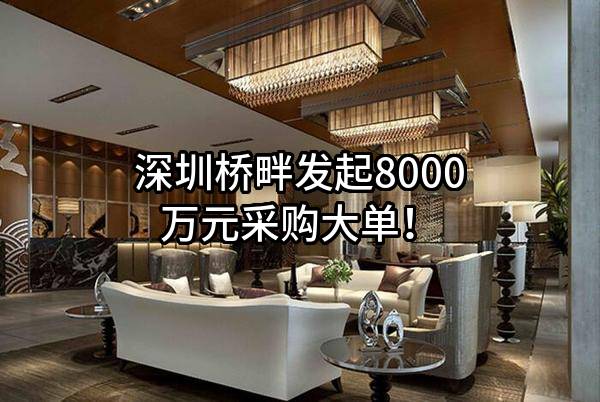 深圳桥畔有限公司最新发起8000万元采购大单！