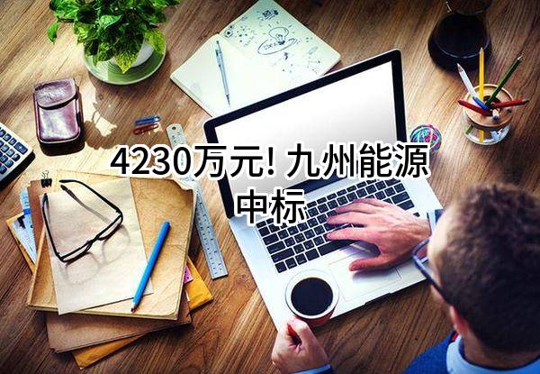 4230万元! 九州能源有限公司中标