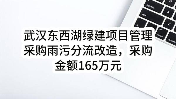 武汉东西湖绿建项目管理有限公司最新采购雨污分流改造，采购金额165万元