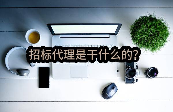 招标代理是干什么的？