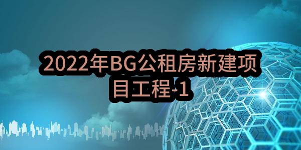 2022年BG公租房新建项目工程-1(浙江省公众信息产业有限公司)_中国电信采购与招标网