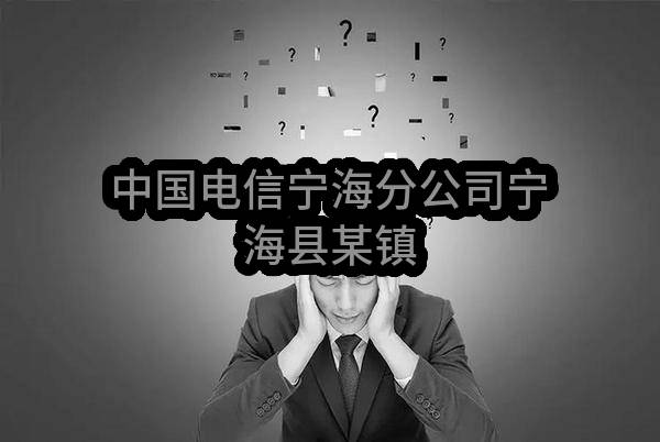 中国电信股份有限公司宁海分公司宁海县某镇海防监控技术服务项目中选人公示_中国电信采购与招标网