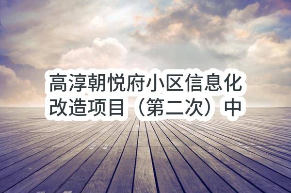 高淳朝悦府小区信息化改造项目（第二次）中选人公示_中国电信采购与招标网