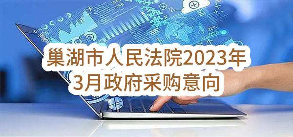 巢湖市人民法院2023年3月政府采购意向_合肥政府采购网