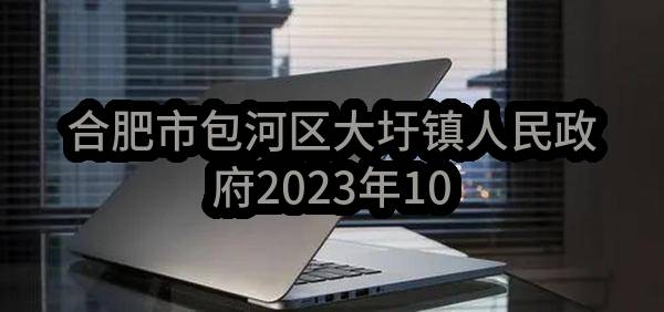 合肥市包河区大圩镇人民政府2023年10月政府采购意向_合肥政府采购网