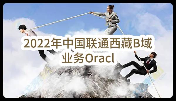 2022年中国联通西藏B域业务Oracle下线工程二次招标公告(中国联合网络通信有限公司西藏自治区分公司)_中国联通采购与招标网