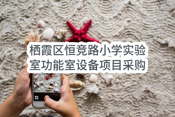 栖霞区恒竞路小学实验室功能室设备项目采购公告(南京市栖霞区教育局)_南京政府采购网