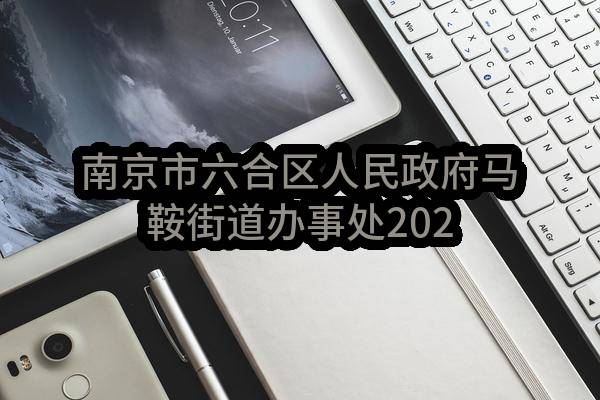 南京市六合区人民政府马鞍街道办事处2023年4月(第1批)政府采购意向公告_南京政府采购网