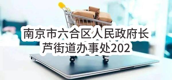 南京市六合区人民政府长芦街道办事处2023年4月(第1批)政府采购意向公告_南京政府采购网