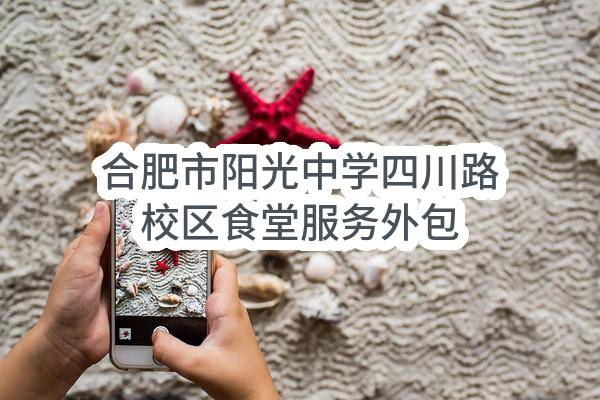 合肥市阳光中学四川路校区食堂服务外包(2021ABBBN00003)_合肥政府采购网