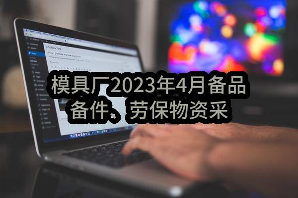 模具厂2023年4月备品备件、劳保物资采购任务中标公示(HS-ZBRW-2023-006182)_成都政府采购网