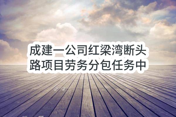 成建一公司红梁湾断头路项目劳务分包任务中标公示(HS-ZBRW-2023-004660)_成都政府采购网